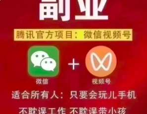 视频号高阶变现项目