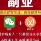 视频号高阶变现项目