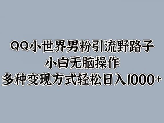 QQ小世界男粉引流野路子,小白无脑操作,多种变现方式轻松日入1000+