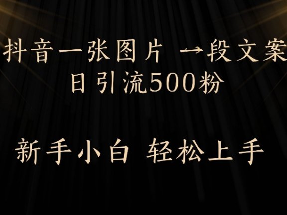 抖音一张图片,一段文案日引流500粉,新手小白 轻松上手