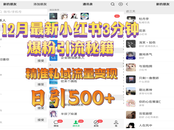 12月最新小红书3分钟爆粉引流秘籍,精准私域流量变现 日引500+