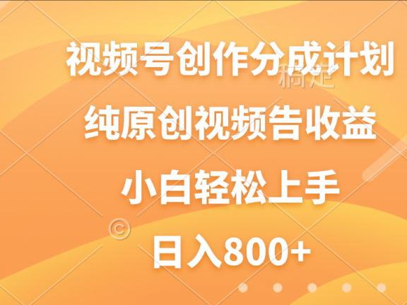 视频号创作分成计划，纯原创视频告收益，新手小白轻松上手，日入800+